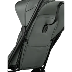 Bugaboo Alle Buggy's * Buggy Butterfly 2 Black - Forest Green Groen