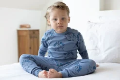 Feetje Pyjama's * Pyjama Premium Sleepwear Willy Walrus Blauw