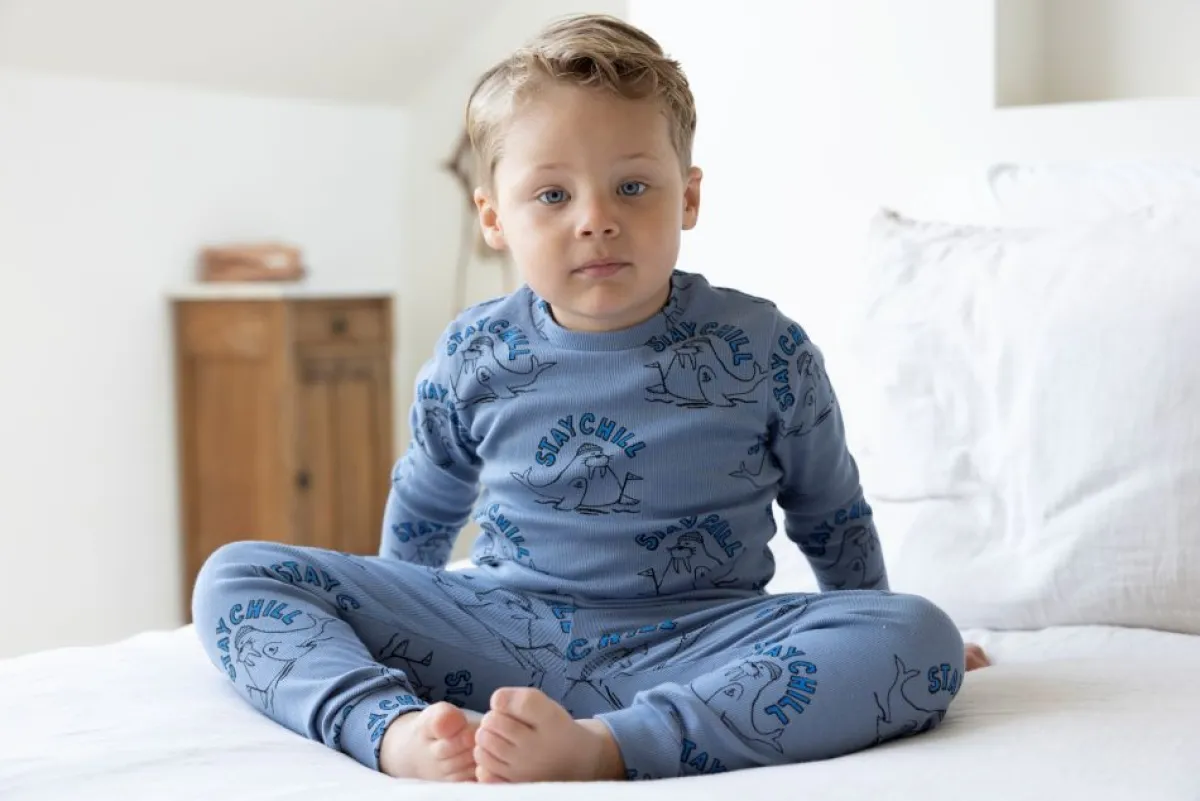 Feetje Pyjama's * Pyjama Premium Sleepwear Willy Walrus Blauw