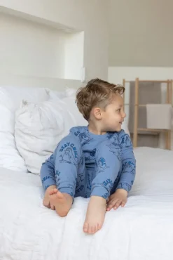 Feetje Pyjama's * Pyjama Premium Sleepwear Willy Walrus Blauw
