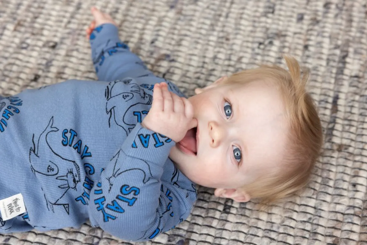 Feetje Pyjama's * Pyjama Premium Sleepwear Willy Walrus Blauw