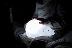 Flow Amsterdam Nachtlampjes * Björn Projector