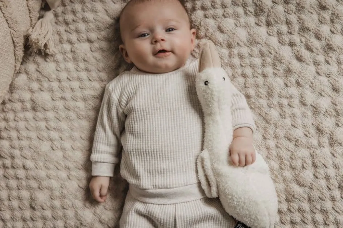 Flow Amsterdam Knuffels * Hartslag Knuffel Liva de Gans Beige Bruin
