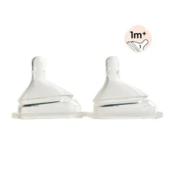 Hegen Flessen * Speen Slow Flow 2-pack