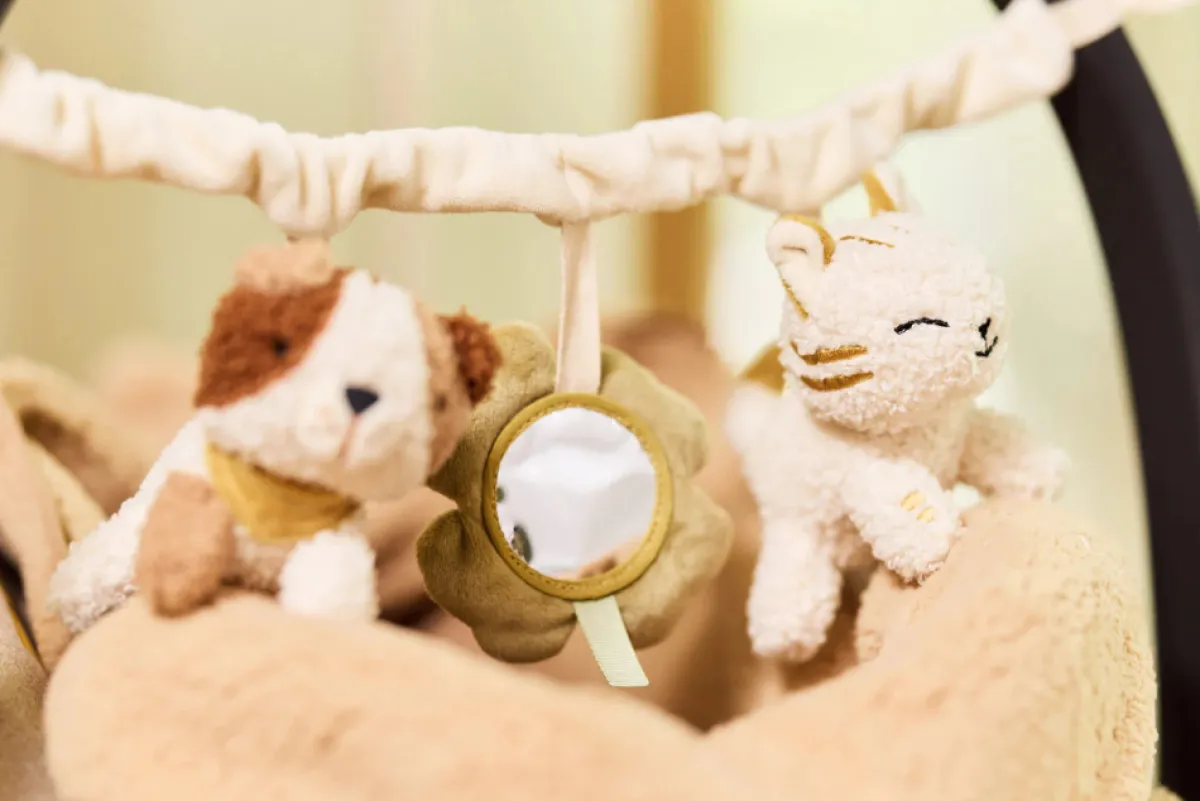Jollein Overige Accessoires|Baby Autostoel * Wagenspanner Tiny Park Multicolor