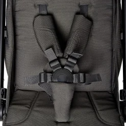 Koelstra Alle Buggy's * Buggy Re-Act Anthracite