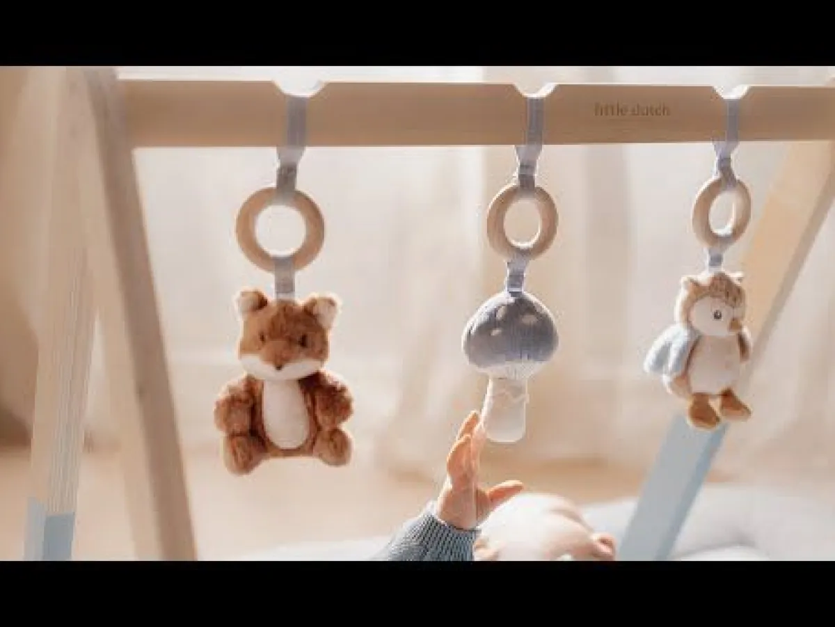 Little Dutch Houten Speelgoed * Babygym Forest Friends Blauw