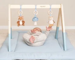 Little Dutch Houten Speelgoed * Babygym Forest Friends Blauw