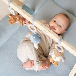 Little Dutch Houten Speelgoed * Babygym Forest Friends Blauw