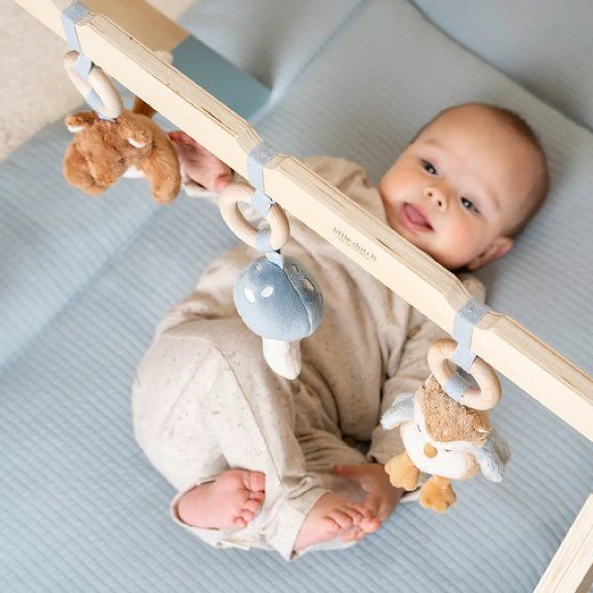 Little Dutch Houten Speelgoed * Babygym Forest Friends Blauw