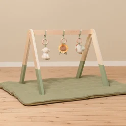 Little Dutch Houten Speelgoed * Babygym Little Farm Groen