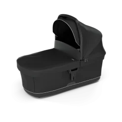 Thule Alle Buggy's * Buggy 2in1 Spring 2 Mist Green on Black Groen