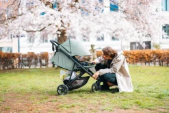 Thule Alle Buggy's * Buggy Spring 2 Mist Green on Black Groen