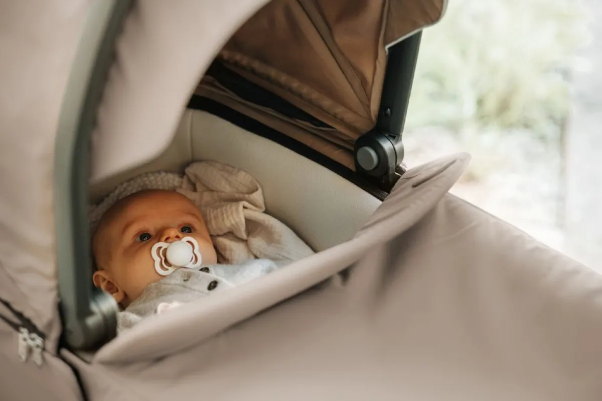 Thule Overige Accessoires * Reiswieg Tinted Taupe