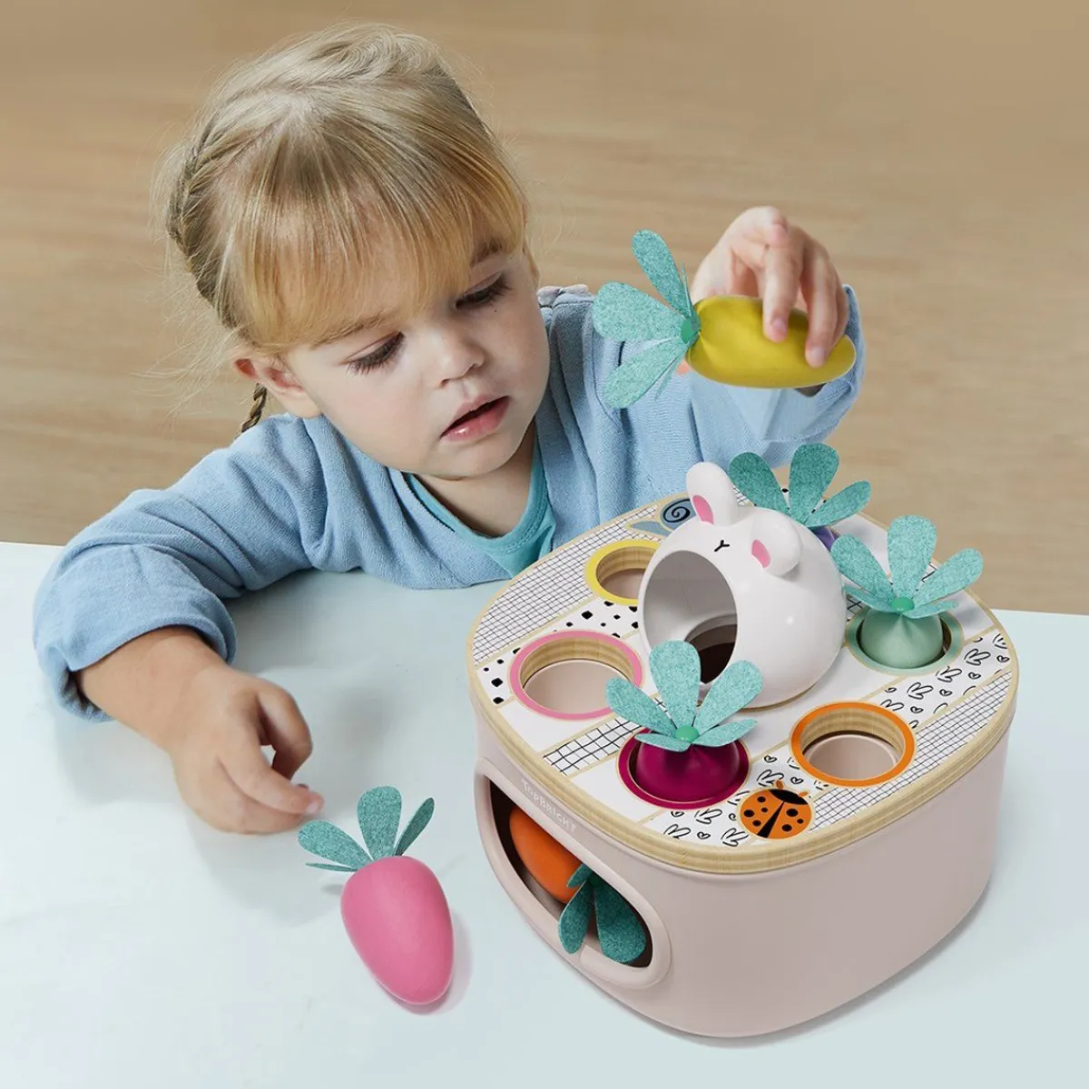 Topbright Overig * Vormenstoof Match & Sort Worteltjes